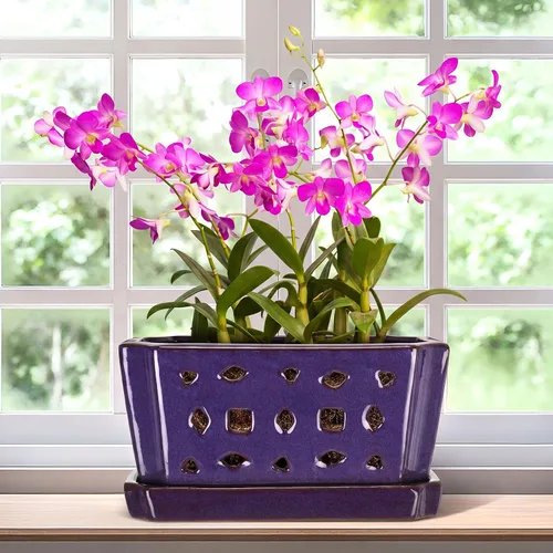 Vista 8 de Teenyyou 9.5" Orchid Pot Ceramic with Hole Saucer for Repotting, White Blanco