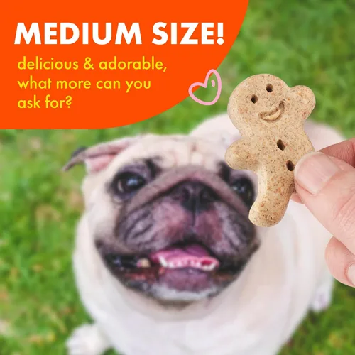 Vista 7 de Buddy Biscuits Golosinas crujientes para perros medianos, mantequilla de maní, tarro de 20 onzas