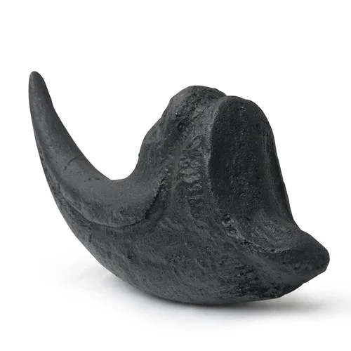 Vista 8 de Dientes fosilizados y garras de varios dinosaurios prehistóricos, dientes de tiburón megalodón y réplicas de alta fidelidad (garra de Allosaurus)