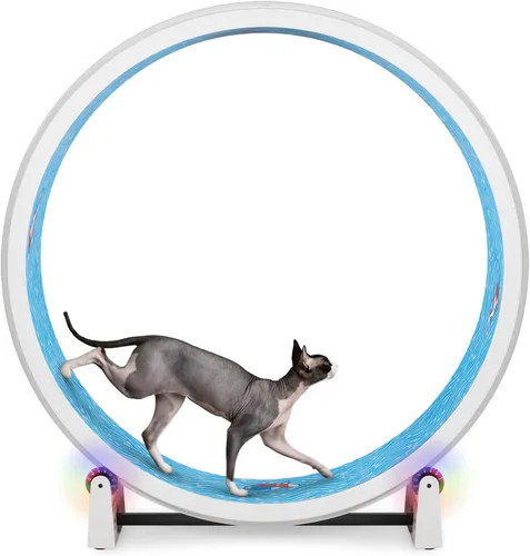 Vista 16 de One Fast Cat - Rueda de ejercicio para gatos, fabricada en los Estados Unidos, 48 pulgadas de diámetro, Gen. 7