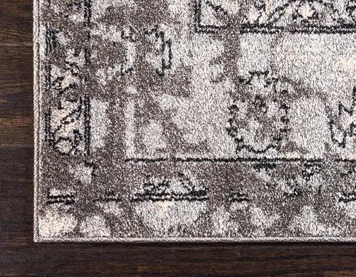 Vista 8 de tapete moderno clásico, colección La Jolla, Polipropileno, Gris Gris/Plateado