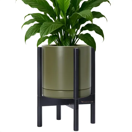 Vista 108 de D'vine Dev Maceta de cerámica con soporte de ébano – Maceta redonda moderna de 8 pulgadas con soporte para maceta de madera, color negro, 55-B-M-2