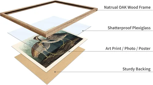 Vista 4 de Poster Master Póster vintage de James Audubon – Impresión retro de amargo americano – Arte de aves de América – Regalo para hombres, mujeres