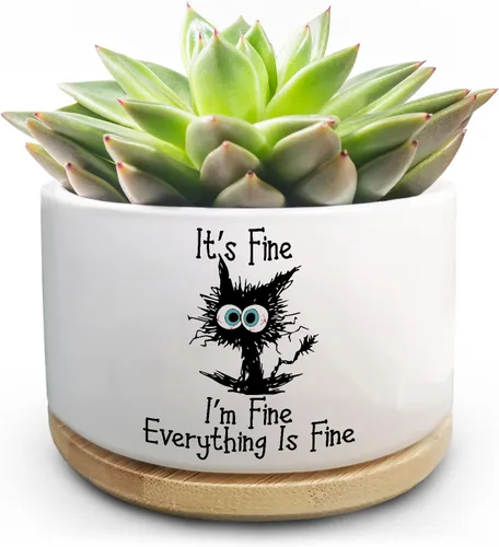 Vista 12 de Maceta Divertida para Plantas Suculentas, Maceta Pequeña para Plantas de Interior, Lindas Macetas de Cerámica para Cactus con Drenaje, Decoración
