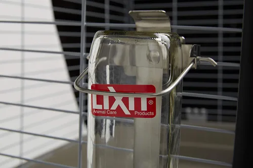 Vista 4 de Lixit Botella de agua de vidrio para mascotas, 32 onzas Transparente