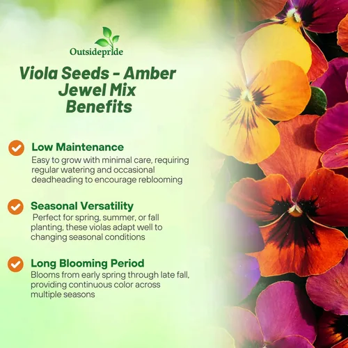 Vista 3 de Outsidepride Amber Jewel Mix Viola - Semillas de pensamiento para plantar, 50 unidades. Flores anuales, extendidas, resistentes al frío y aptas
