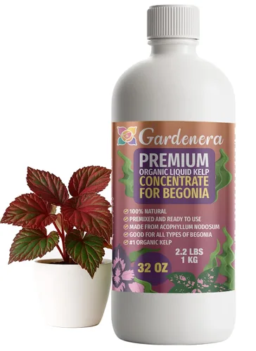 Vista 75 de GARDENERA Superalimento orgánico prémium de algas marinas y algas marinas para plantas AROID - 32 oz - Concentrado de fertilizante líquido de algas