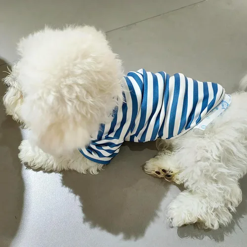 Vista 5 de Suéter de cuello alto para perro, lindo bordado de perrito, sudadera súper suave para perro, camisa para perro, suéter elástico a rayas para Raya