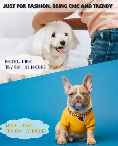 Vista 2 de Collar de perro con cadena dorada de 3/4 de ancho, collar de perro de eslabones cubanos de moda, lindo collar de mascota para perros pequeños