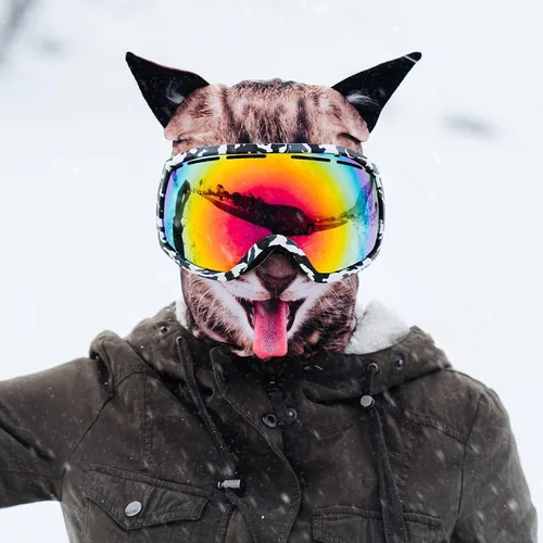 Vista 4 de BEARDOWEAR - Máscara de esquí unisex con impresión realista con cabeza de gato feliz, pasamontañas