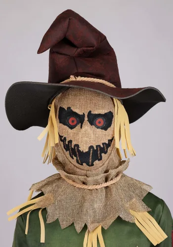 Vista 5 de Disfraz de Espantapájaros Tenebroso para Niños Multicolor