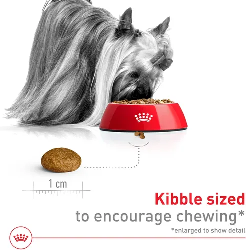 Vista 4 de ROYAL CANIN SIZE HEALTH NUTRITION X-SMALL comida seca para perros adultos