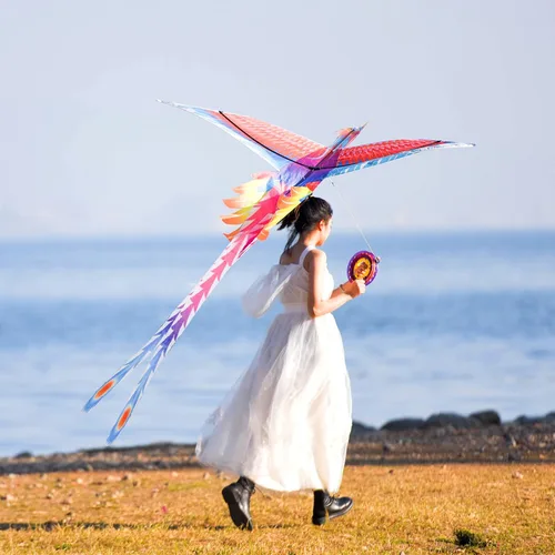 Vista 6 de Large Kite for Kids & Adults, Easy to Fly Bird Kites for Boys & Girls