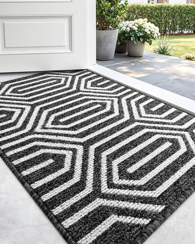 Vista 2 de DEXI - Alfombras para puerta de entrada, antideslizante, lavable, absorbente, resistente a la suciedad en el interior, alfombra de entrada de perfil
