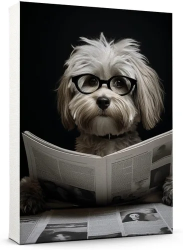 Vista 81 de Thuan Affenpinscher - Póster de lienzo con tus fotos, arte de pared para decoración del hogar, regalo conmemorativo para amantes de las mascotas