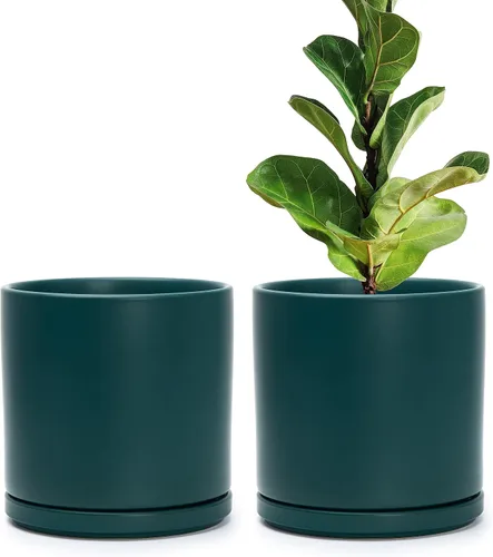 Vista 21 de D'vine Dev - Juego de 2 macetas de plantas de 3.5 pulgadas, maceta de cerámica para plantas con agujero de drenaje y platillo, negra, 94-V-A-2