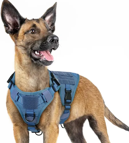 Vista 30 de rabbitgoo - Arnés táctico para perros pequeños, arnés resistente para mascotas con asa, chaleco de servicio sin tirones para razas pequeñas, chaleco