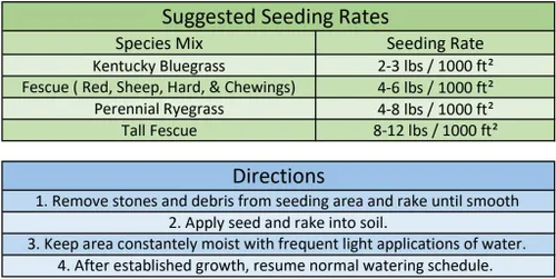 Vista 2 de Burlingham Seeds Prime Time - Mezcla de festuca alta 100 % alta Semilla de césped certificada Blue TAG (50 libras (5,000 pies cuadrados)), marrón