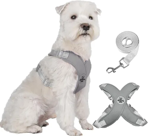 Vista 11 de FEimaX Arnés para perro con marco en X para mascotas, sin tirones, juego de correa, ajustable, reflectante, sin estrangulamiento, para cachorros