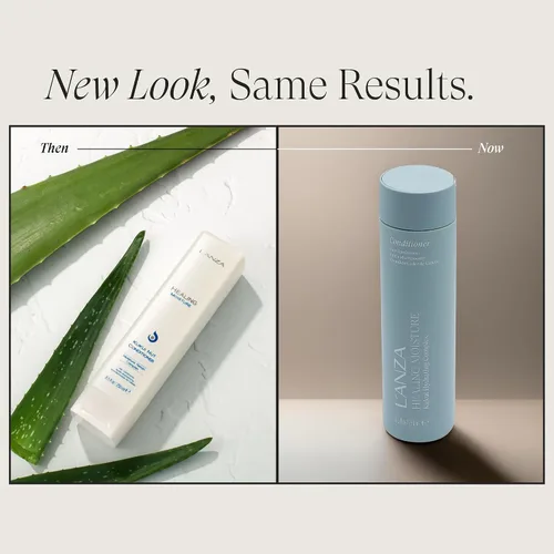 Vista 2 de L'ANZA Acondicionador de nueces Kukui de humedad curativa, renueva la fuerza, repone la humedad, para un aspecto sedoso perfecto, adecuado para todo