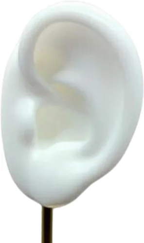 Vista 6 de Colaxi Soporte de exhibición de aretes, soporte de oreja para modelo, herramientas de enseñanza, decoración de escritorio duradera con base estable