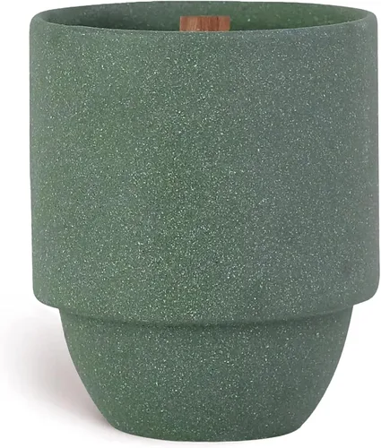 Vista 17 de Paddywax National Parks - Vela perfumada de cera de soja artesanal fabricada en los Estados Unidos, lata de 6 onzas, Olympics