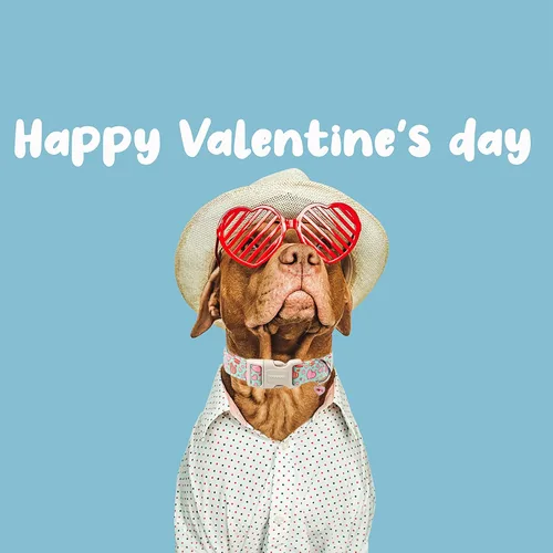 Vista 165 de DOGWONG Collar para perro de San Valentín, collar ajustable de algodón con corazón de caramelo azul, perfecto para perros pequeños a medianos
