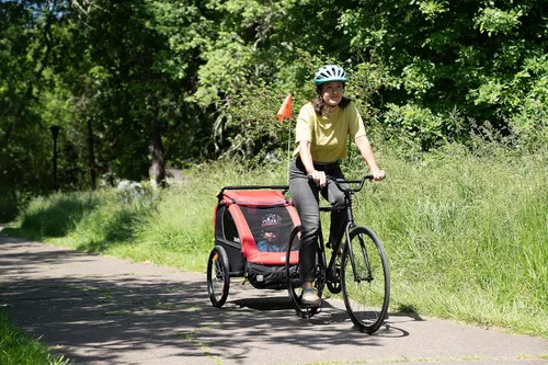 Vista 7 de Burley Honey Bee, remolque y cochecito de bicicleta para niños de 2 asientos