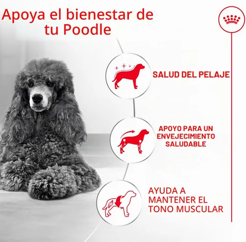 Vista 5 de ROYAL CANIN Poodle - Alimento seco para perros adultos, bolsa de 2.5 libras