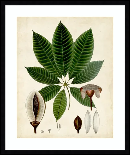 Vista 18 de Amanti Art Vision Studio - Lienzo decorativo para pared, 24 x 20 pulgadas, follaje verde VII por Vision Studio, arte de pared de naturaleza