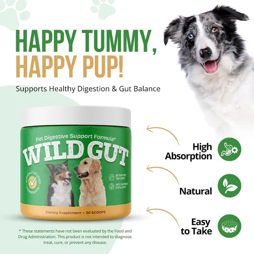 Vista 3 de Wild Gut - Suplemento probiótico natural para mascotas Apoya la salud digestiva y el microbioma intestinal 8 cepas probióticas 1 botella