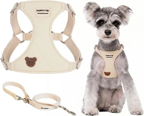 Vista 14 de Puppytie Arnés para perro y correa con patrón de oso, beige, XXS