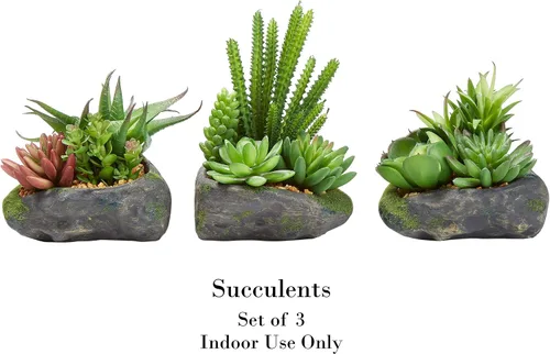 Vista 2 de Pure Garden Plantas suculentas artificiales, juego de arreglos de 3 piezas en macetas de piedra sintética y varios tamaños, vegetación realista