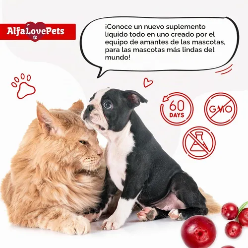 Vista 7 de Multivitamínico líquido para perros – Multivitaminas para gatos de interior – 10 en 1 vitaminas líquidas para perros complejo B, C, D3 – Digestión