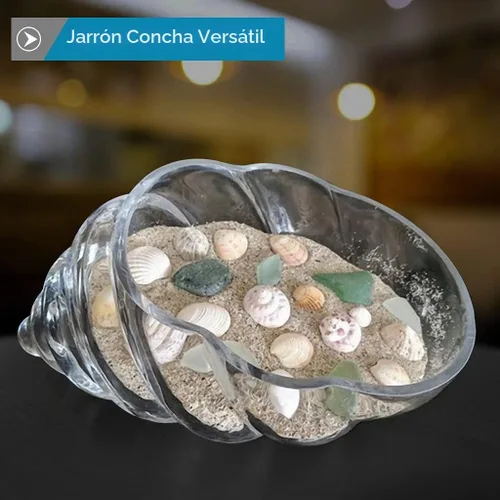 Vista 7 de MDLUU Jarrón de carcasa de vidrio, soporte de popurrí de conchas marinas de 10 pulgadas, cuenco decorativo para exhibición de colección de conchas