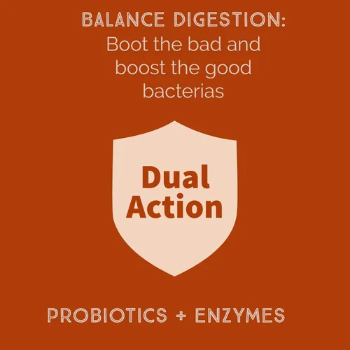Vista 3 de Bacillus B3 Probiótico a base de esporas + enzimas para la salud intestinal y el apoyo del microbioma, probiótico diario estable con Bacillus