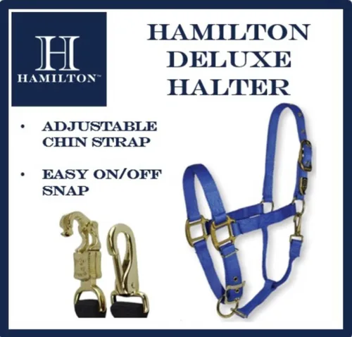 Vista 4 de Hamilton, Halter de 1 pulgada con barbilla ajustable, azul baya, 800-1100 libras