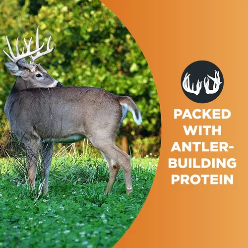 Vista 7 de Whitetail Institute Imperial Clover Semilla para parcela de alimentos para ciervos para siembra de primavera u otoño, promueve el crecimiento