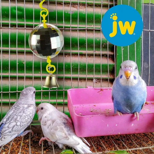 Vista 2 de JW Pet Company Activitoy - Juguete para pájaros pequeños, los colores varían