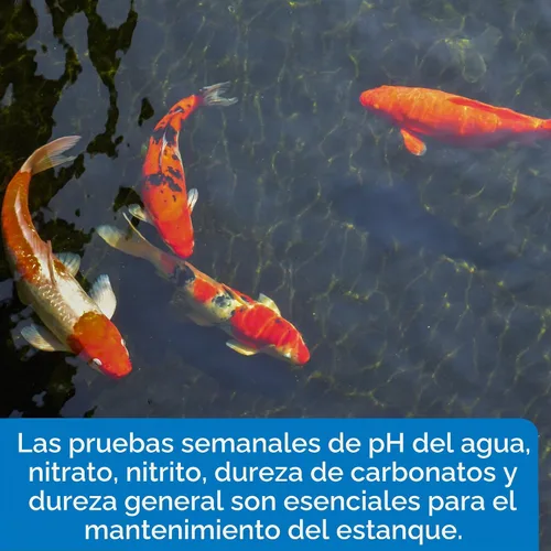 Vista 3 de API Pondcare - Tiras de prueba 5 en 1 para estanques