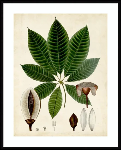 Vista 14 de Amanti Art Vision Studio - Lienzo decorativo para pared, 24 x 20 pulgadas, follaje verde VII por Vision Studio, arte de pared de naturaleza