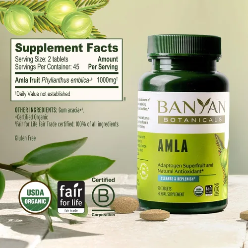 Vista 3 de Banyan Botanicals Tabletas orgánicas de Amla – Vitamina C natural para apoyo de colágeno y salud inmunológica – Grosella espinosa india Amalaki