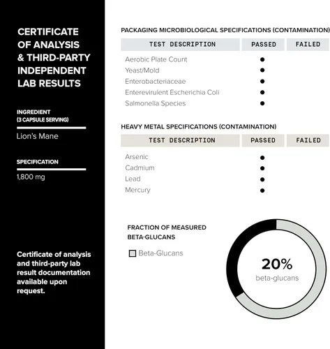 Vista 5 de Toniiq Lion's Mane - Extracto 10:1 de ultra alta potencia con polisacáridos al 30% - altamente concentrado y bioactivo - probado en laboratorio