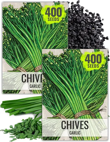 Vista 11 de Seed Needs Semillas de cebollino para plantar cebollino común, semillas de hierbas sin OMG y sin tratar para plantar un jardín de hierbas culinarias