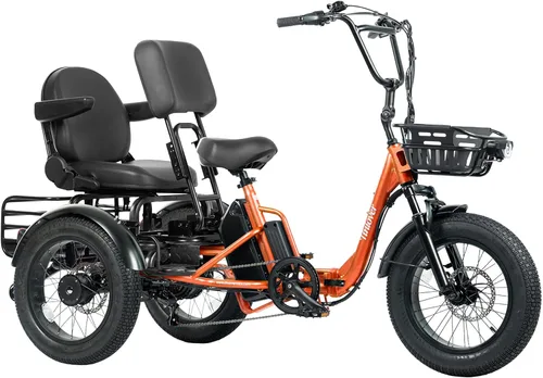 Vista 19 de Folding Electric Tricycle for Adults 2 Seater, 20MPH 100 Miles 4" Wide Fat Tire Electric Trike, 3 Wheel Electric Bike 1200W, 48V 20AH Battery