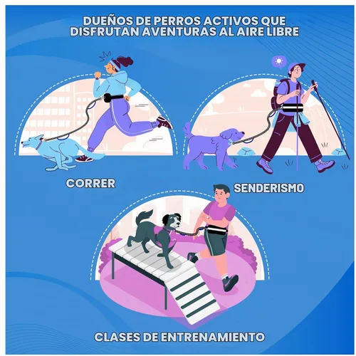 Vista 7 de Correa para perro manos libres con cinturón y bolsa grande con cremallera, correa de cintura para pasear perros, correr y senderismo, costuras Negro