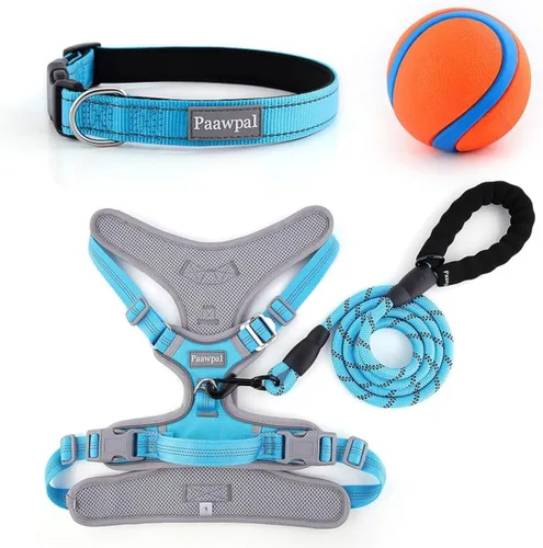Vista 5 de Arnés ajustable para perro, sin tirones, reflectante, acolchado suave para perros pequeños, medianos y grandes, incluye correa y collar, beige, XS