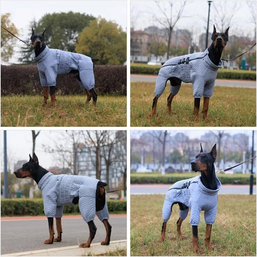Vista 5 de Abrigo cálido para perros de doble capa, chaleco para perros, 4 patas cubiertas, resistente al viento, impermeable, reflectante, gris XS - L