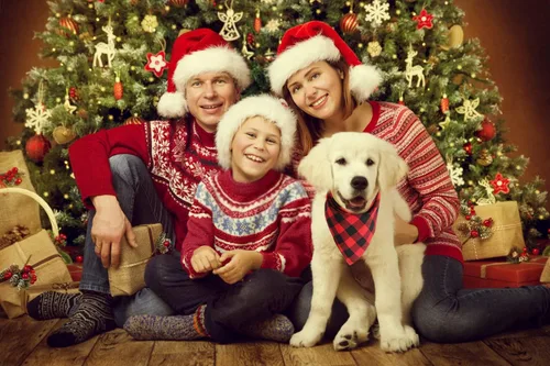 Vista 4 de Bandanas para perros – 2 piezas de bufanda clásica triangular a cuadros para perro, pajarita, juego de pañuelos lavables para perros pequeños a