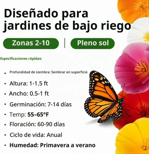 Vista 3 de HOME GROWN California Poppy Formula Mix 3000 Semillas Eschscholzia